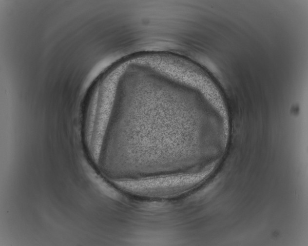 X0000092301122200709281321