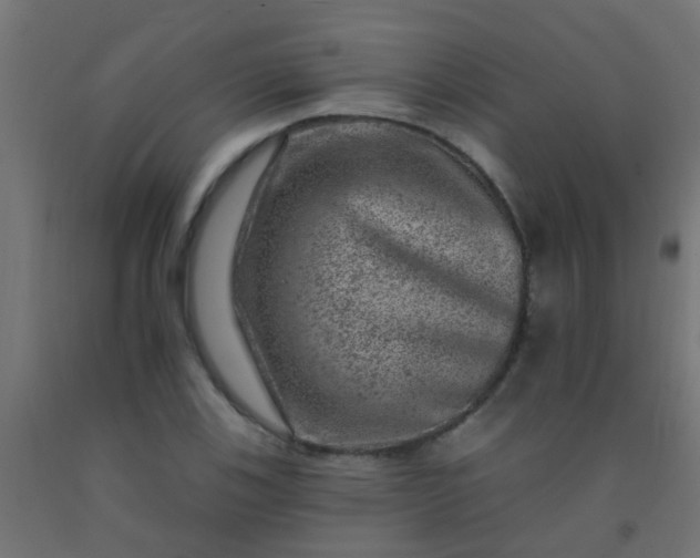 X0000092301123200709281321