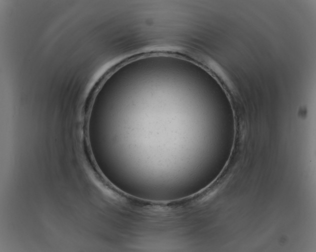 X0000092301124200709281321