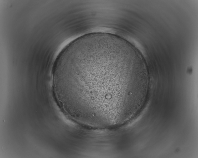 X0000092301125200709281321