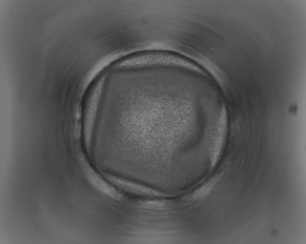 X0000092301126200709281321