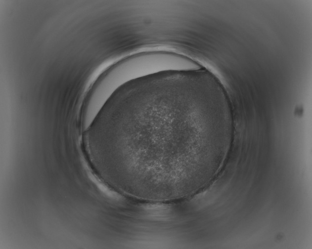 X0000092301127200709281321