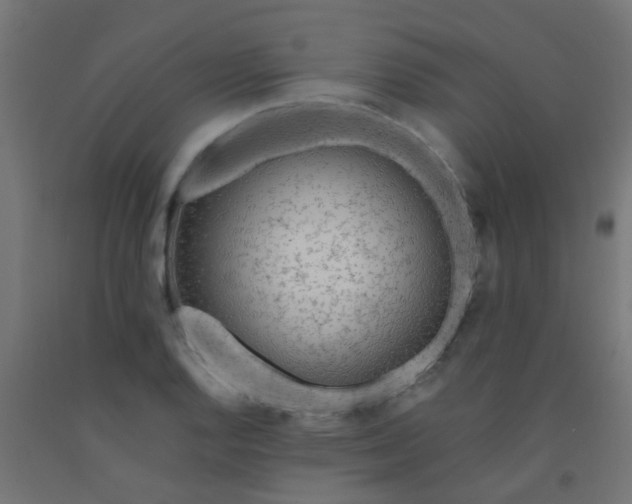 X0000092301128200709281321