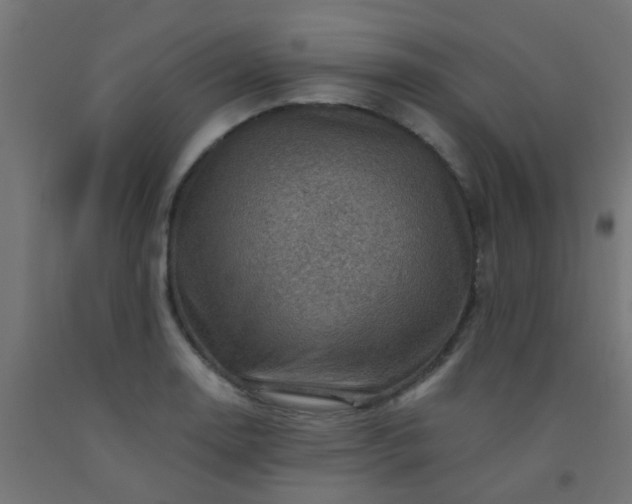 X0000092301130200709281321