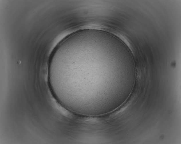 X0000092301131200709281321