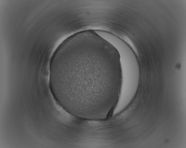 X0000092301132200709281321