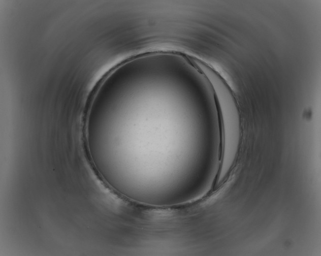 X0000092301134200709281321