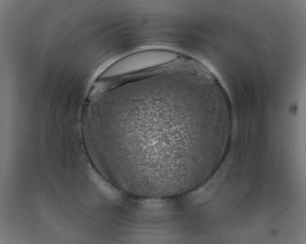 X0000092301137200709281321