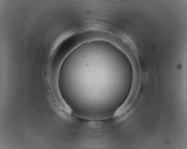 X0000092301138200709281321