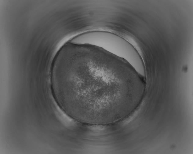 X0000092301141200709281321