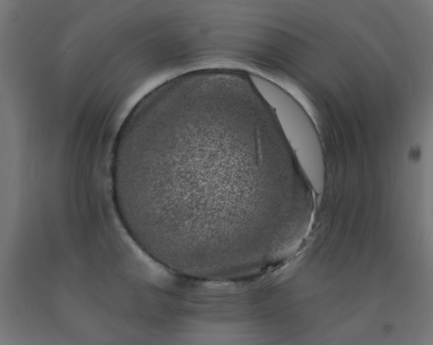 X0000092301142200709281321