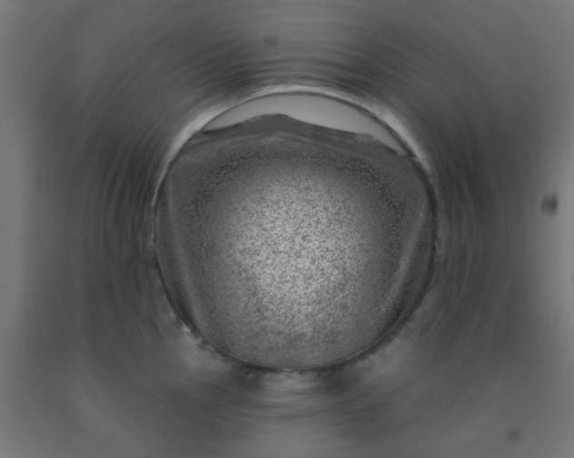 X0000092301145200709281321