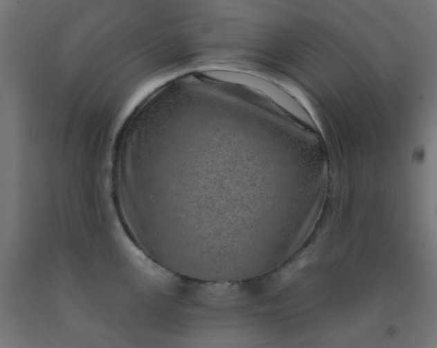 X0000092301147200709281321