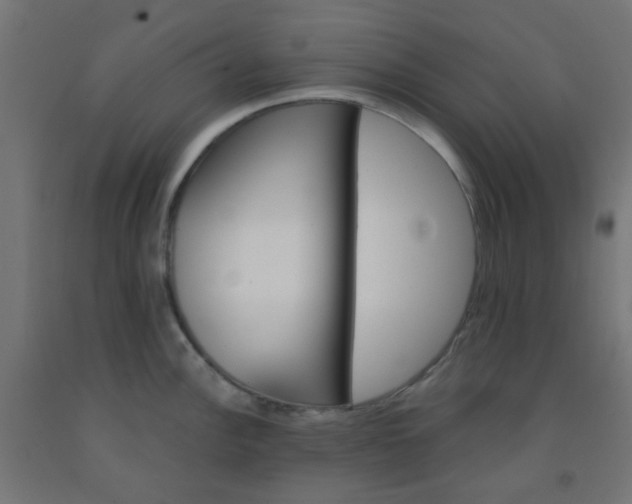 X0000092301148200709281321