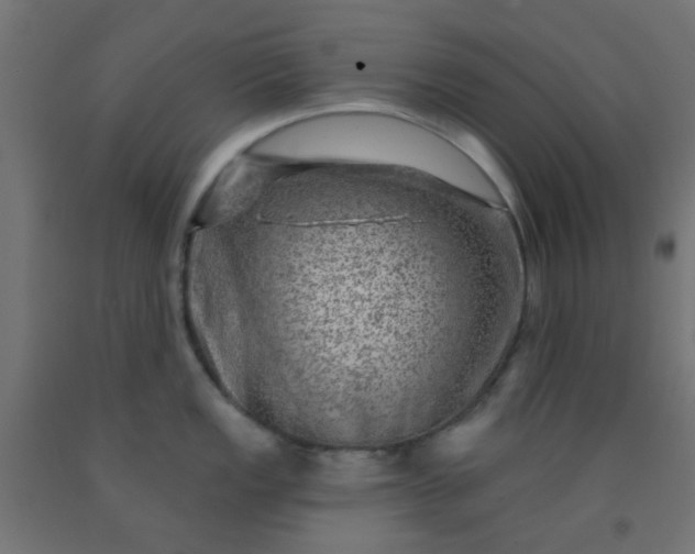 X0000092301149200709281321