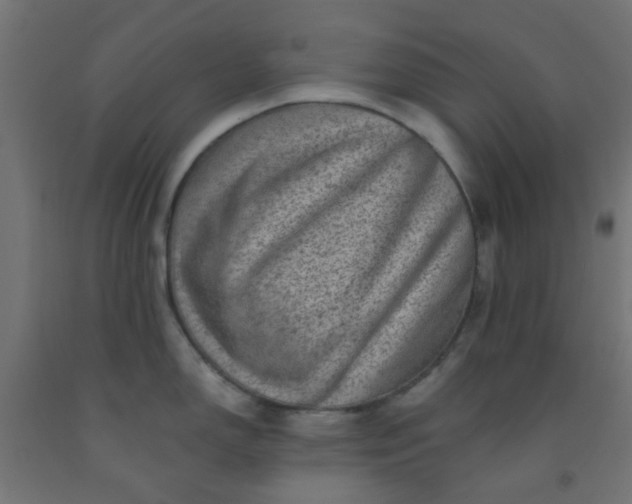 X0000092301150200709281321