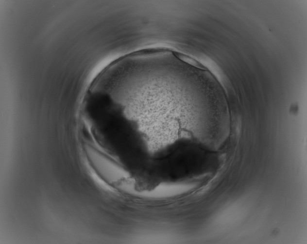 X0000092301151200709281321