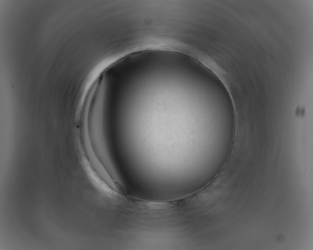 X0000092301152200709281321