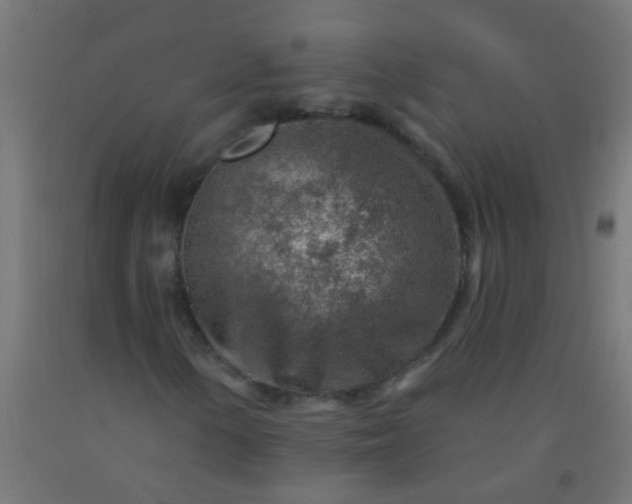 X0000092301154200709281320