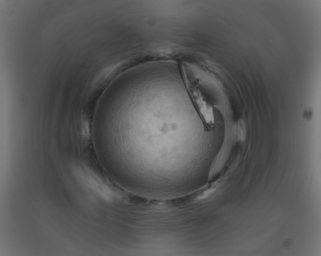 X0000092301155200709281320