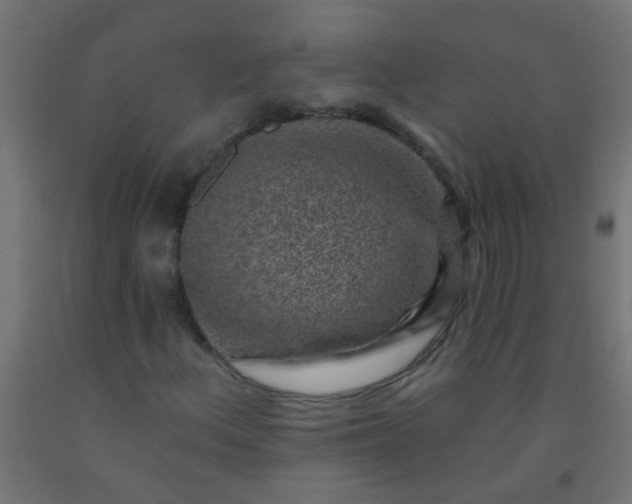 X0000092301156200709281320