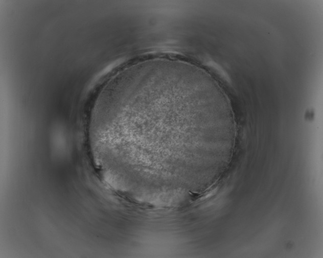 X0000092301159200709281320