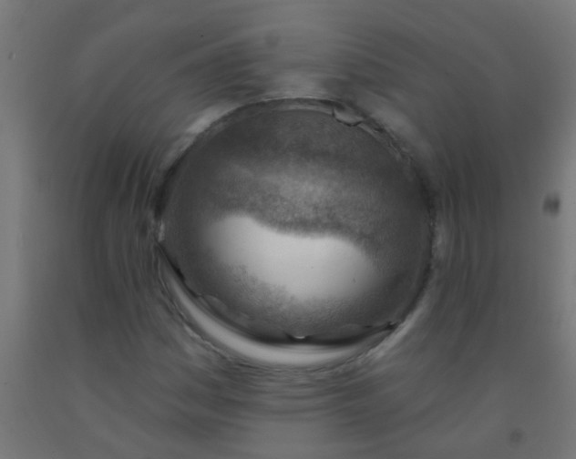 X0000092301161200709281320