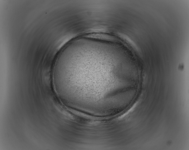 X0000092301162200709281320