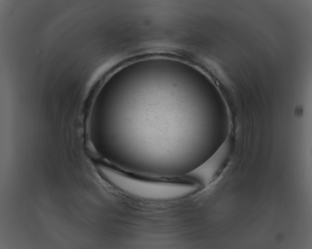 X0000092301164200709281320