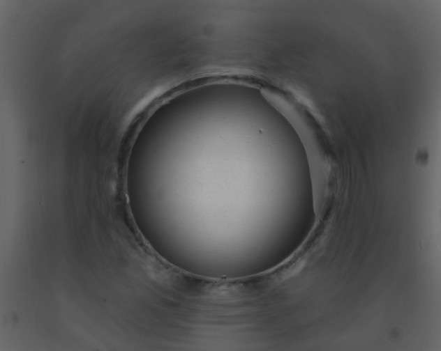 X0000092301165200709281320