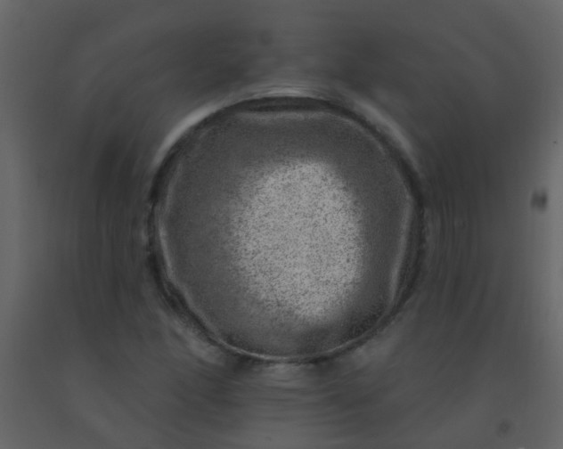 X0000092301166200709281320