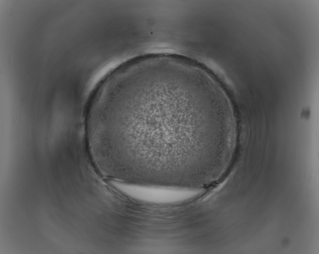 X0000092301167200709281320