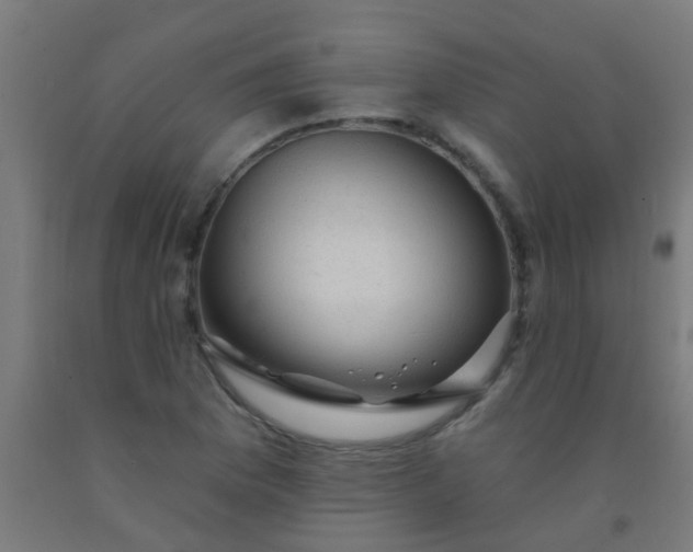 X0000092301169200709281320