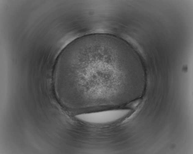 X0000092301170200709281320