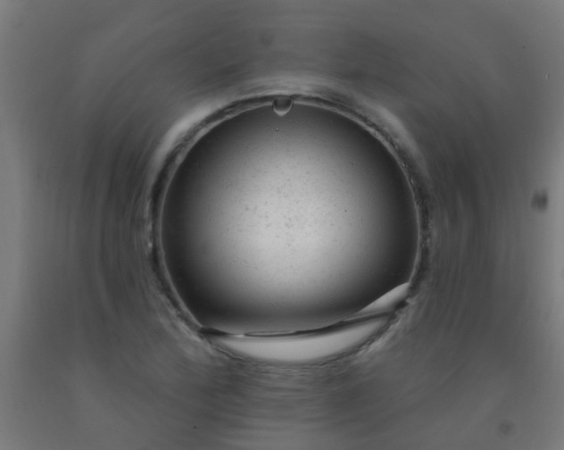 X0000092301172200709281320