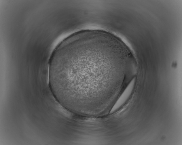 X0000092301175200709281320