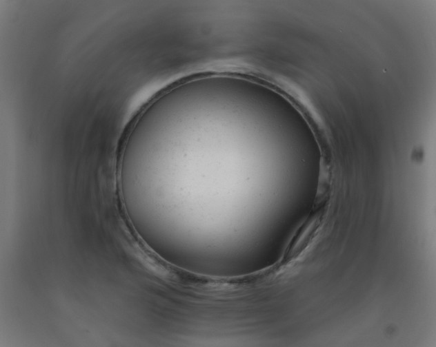 X0000092301176200709281320