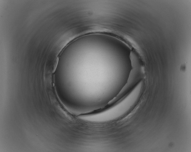 X0000092301177200709281320