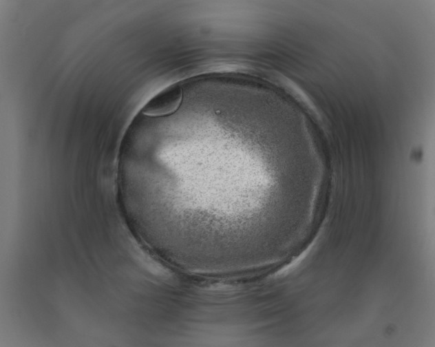 X0000092301178200709281320