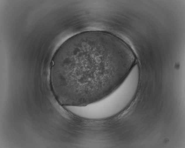 X0000092301179200709281320