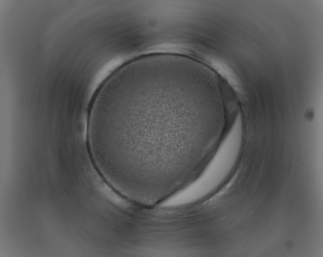 X0000092301180200709281320