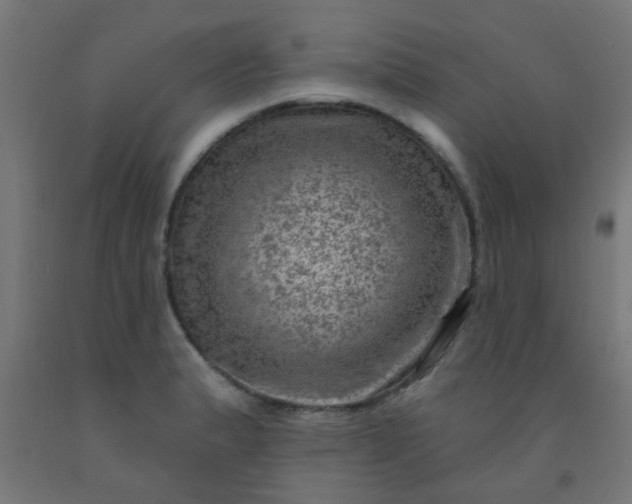 X0000092301183200709281320