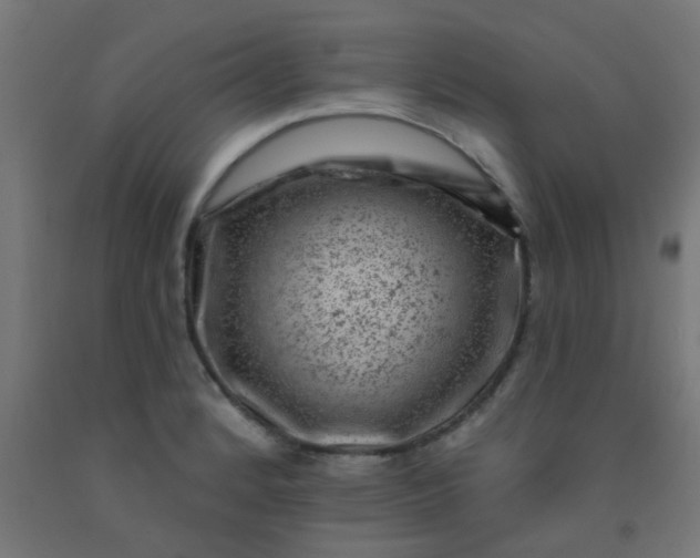 X0000092301184200709281320