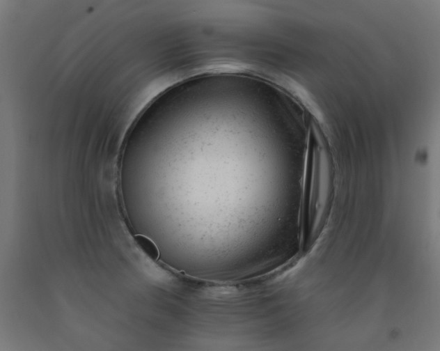 X0000092301186200709281320