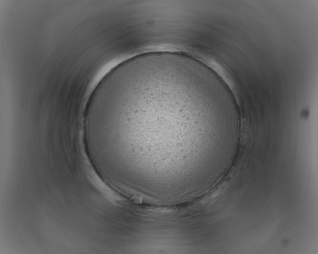 X0000092301187200709281320