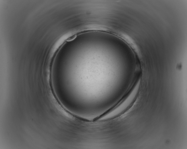 X0000092301188200709281320