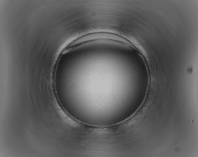 X0000092301189200709281320