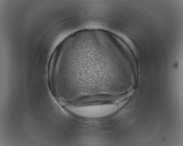 X0000092301191200709281320