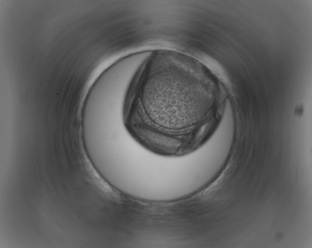 X0000092301192200709281320