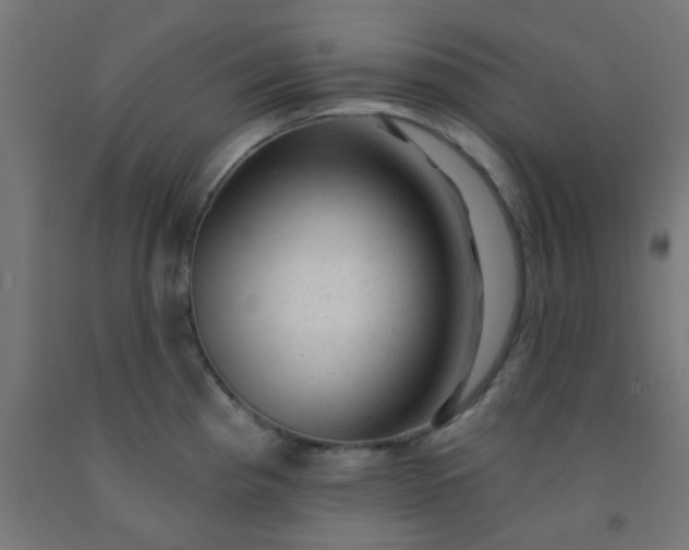 X0000092301193200709281320